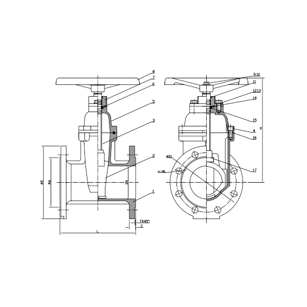 BS 5163 Flanged Resilient NRS Gate Valve PN25